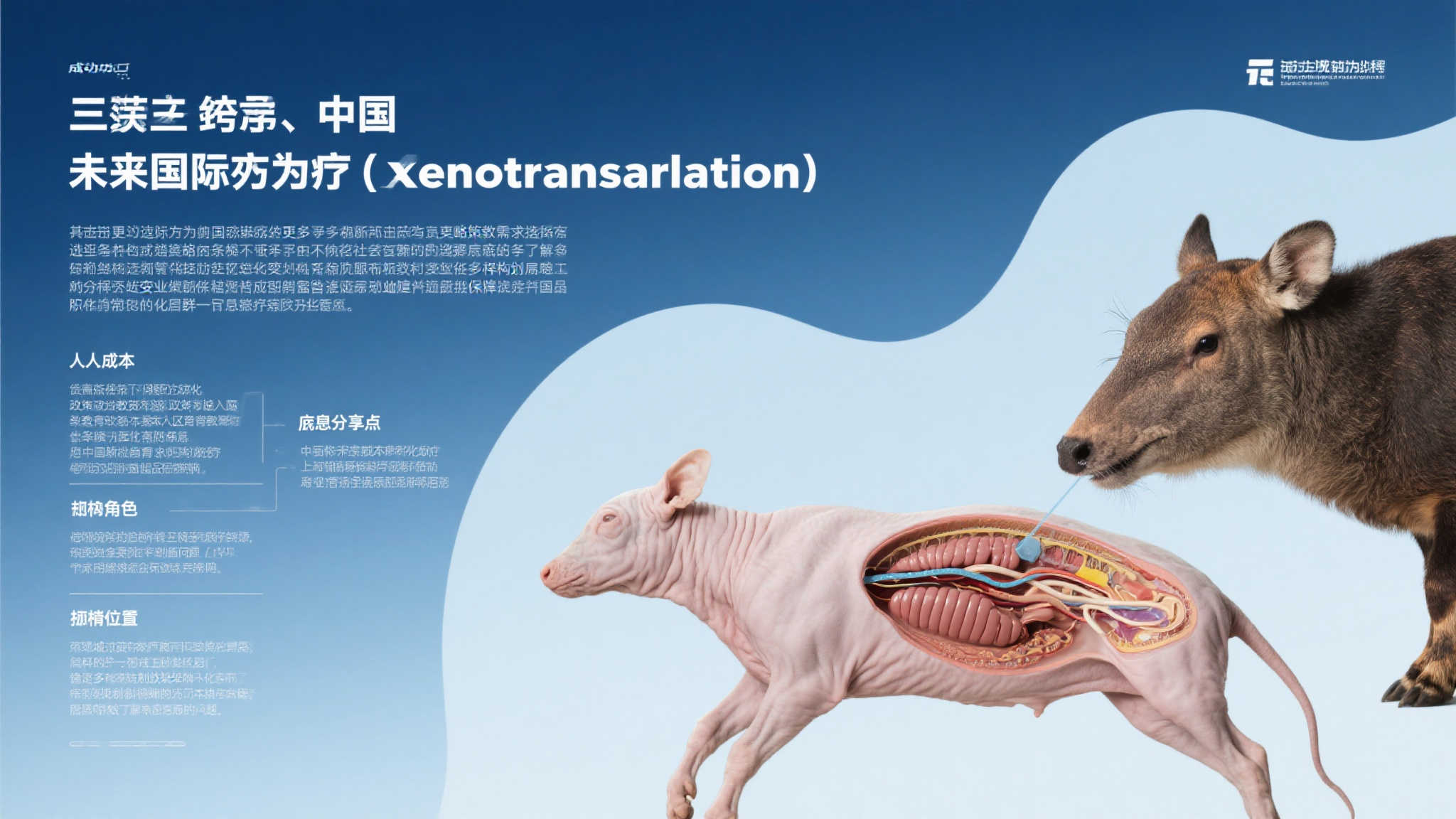 中国首例基因编辑猪肾移植患者术后康复达百日，刷新医学纪录！